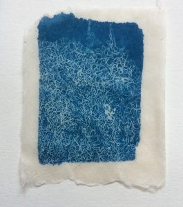 Cyanotype Gampi Paper