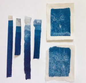 Cyanotype Tests Day One