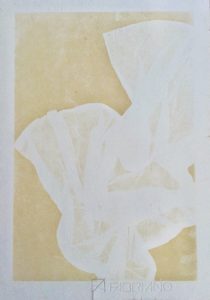 Cyanotype on Fabriano Rosaspina - Bleached
